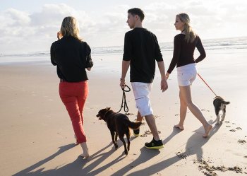 Benhayons at the beach