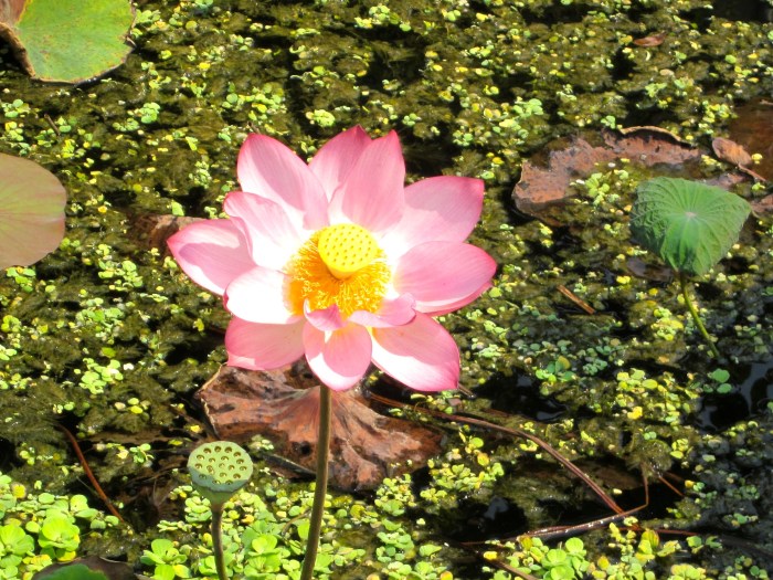 Co-Creation – Liberation from Creation?